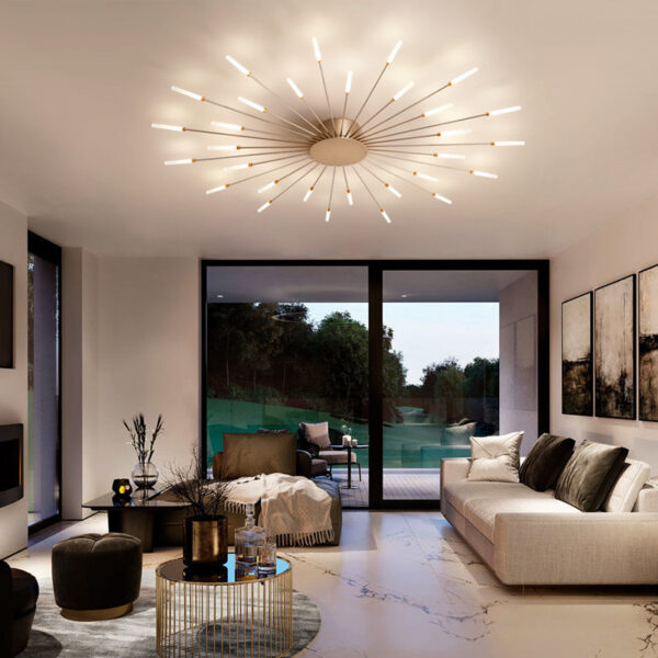 Ceiling Room Lights With Special Iron Decoration