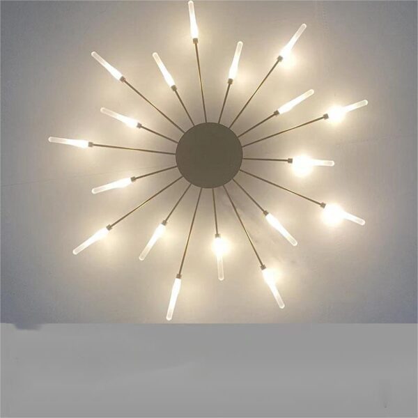 Ceiling Room Lights With Special Iron Decoration - Image 7