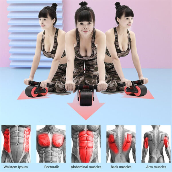 Double Wheel Abdominal Exerciser Women Men Automatic Rebound Ab Wheel Roller Waist Trainer Gym Sports Home Exercise Devices - Image 6