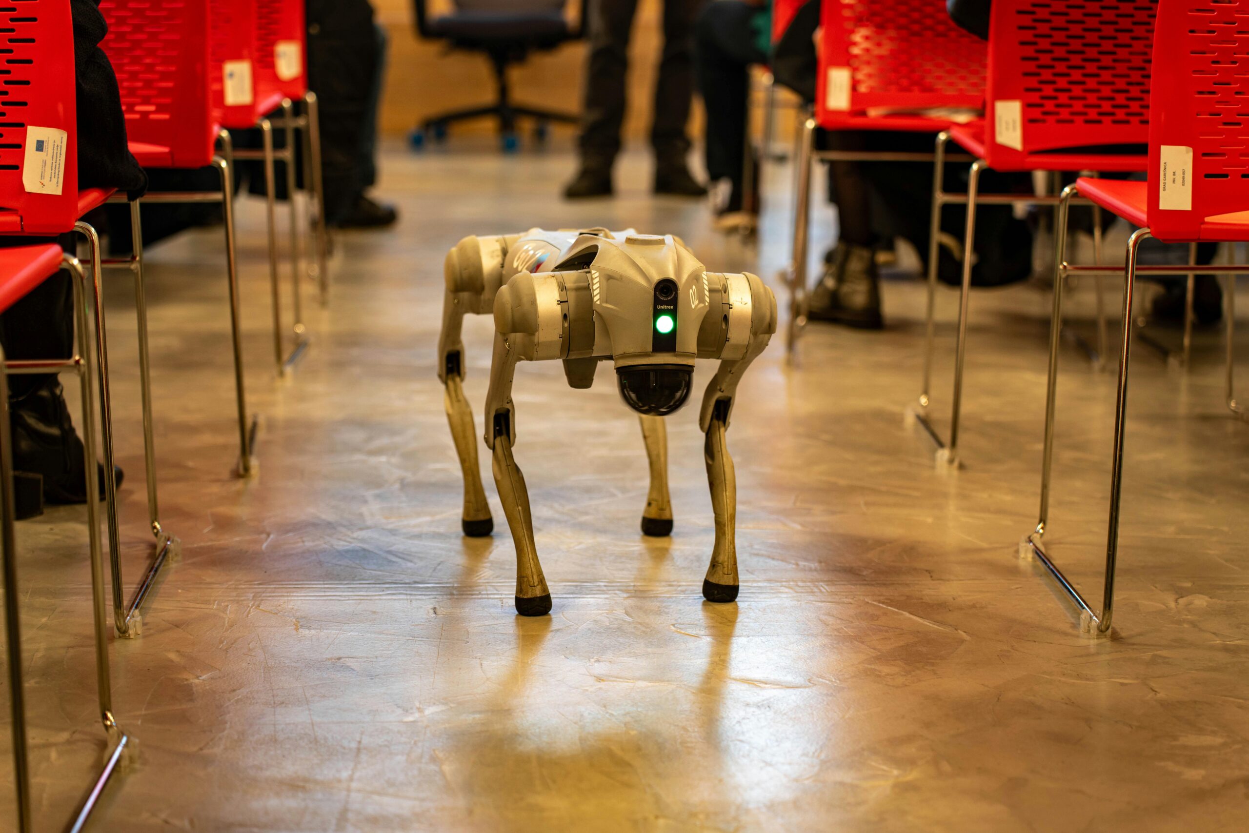 Robot Dog in Action